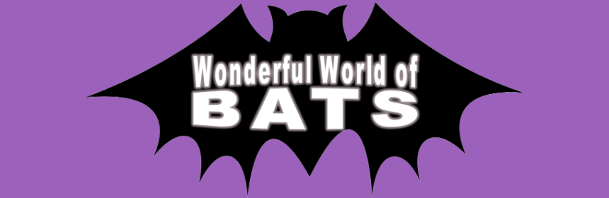 Wonderful World of Bats