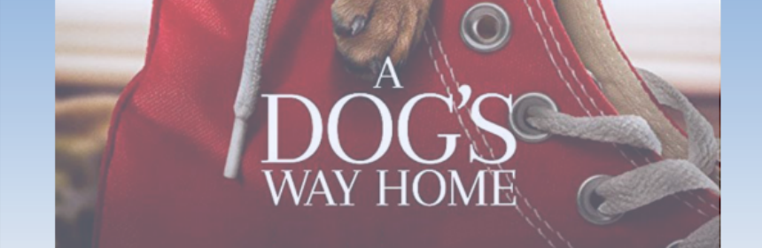 Movie Today: A Dog's Way Home