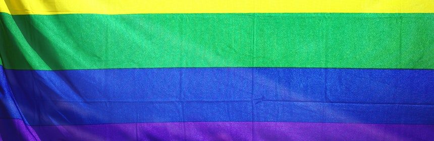 LGBTQ+: Communities and Allyship