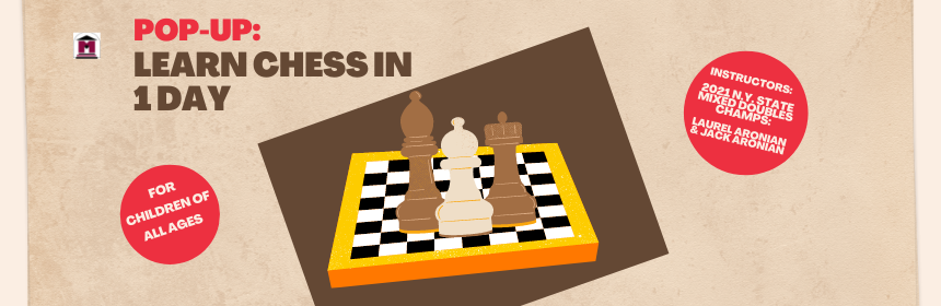 Learn Chess in a Day
