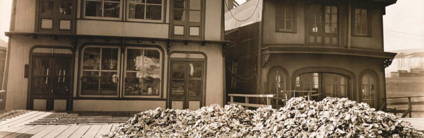 Image Promoting Gotham's Oysters program